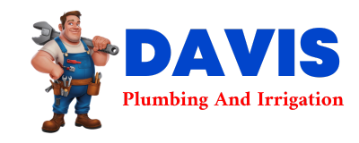 Trusted plumber in MOUNT DORA